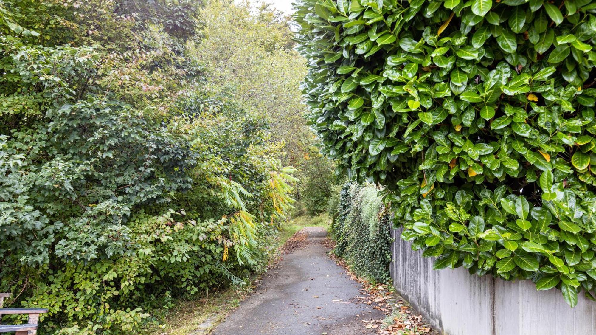 Ferienwohnung Am Donauradweg 图特林根 外观 照片